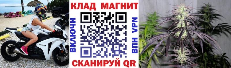 Где купить наркотики Онега МДМА  Каннабис  Меф  Гашиш  Alpha PVP 
