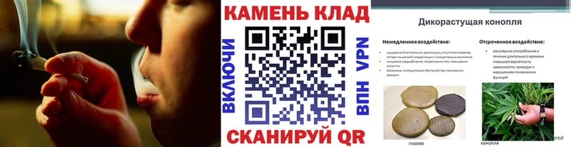 Гашиш Premium  Онега 
