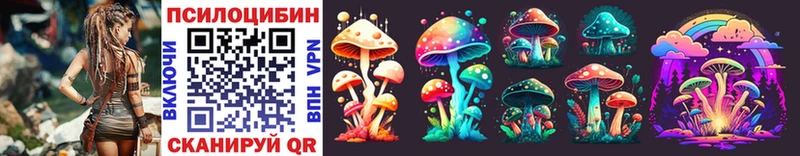 что такое   мега зеркало  Галлюциногенные грибы Psilocybine cubensis  Онега 